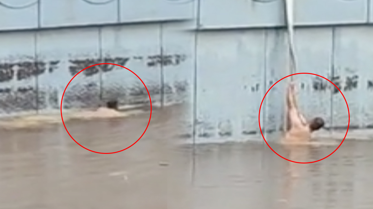 Felaketin içinden yüzerek çıktı!