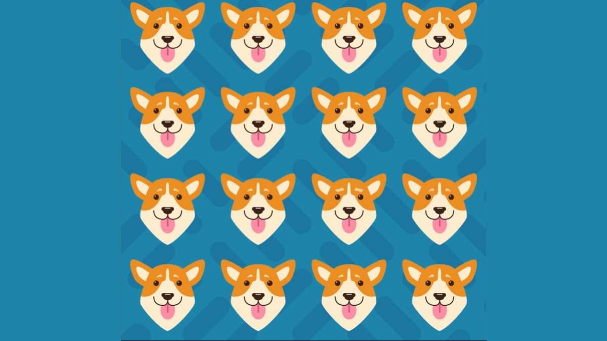 Diğerlerinden farklı olan köpeği 6 saniyede bulanların IQ seviyesi en az 130 çıkıyor! Zekanı test et