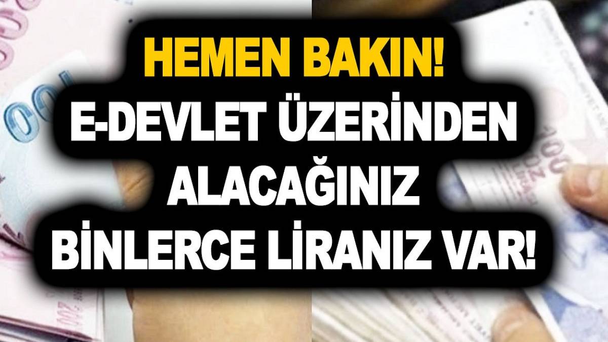 e-Devlet'te paranız kalmış olabilir! Unutulan paralar tek tek hesaplara yatırılıyor: Hemen TCKN ile sorgulayın!