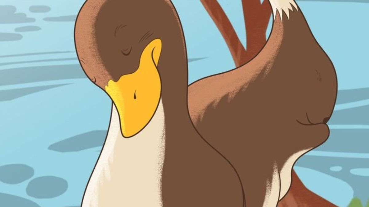 Resimdeki gizli sincabı 5 saniyede bulanlar rekor kırıyor! Sadece gerçek zekiler hemen bulabiliyor!