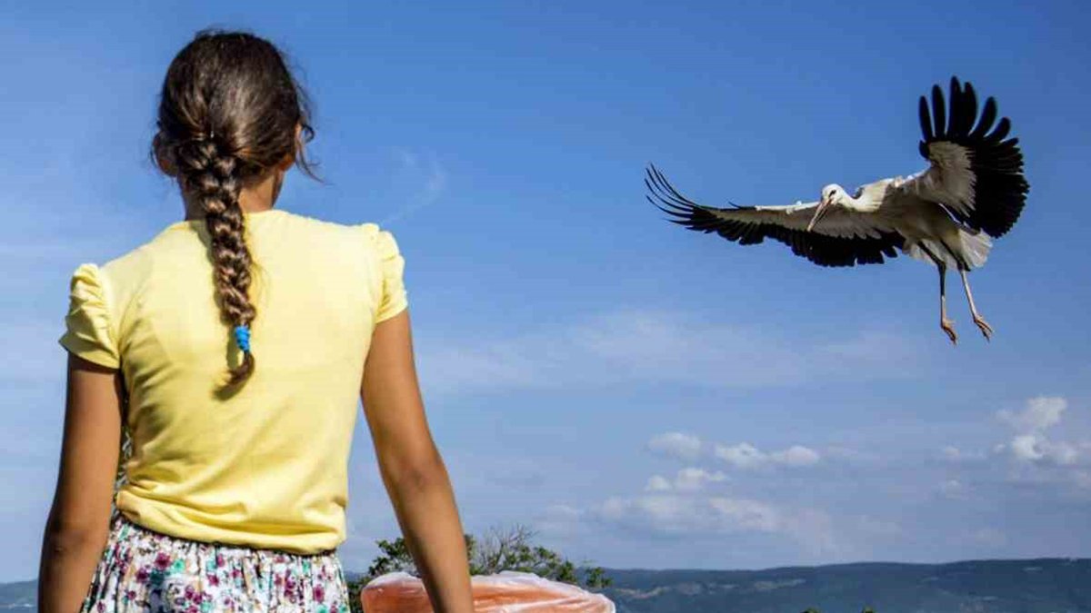 İklim krizi leyleklerin aklını karıştırdı: Erken geldiler