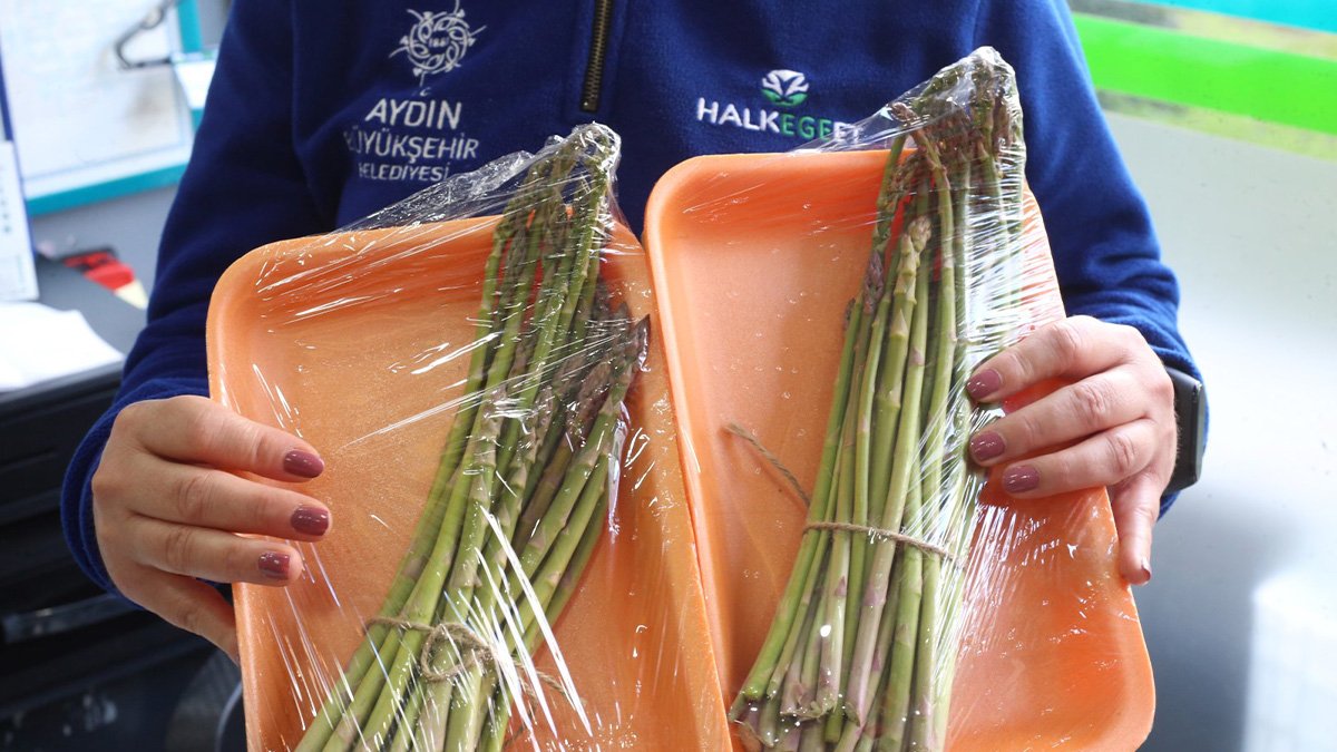 Büyükşehir Belediyesi bu yıl da kuşkonmaz hasadına başladı