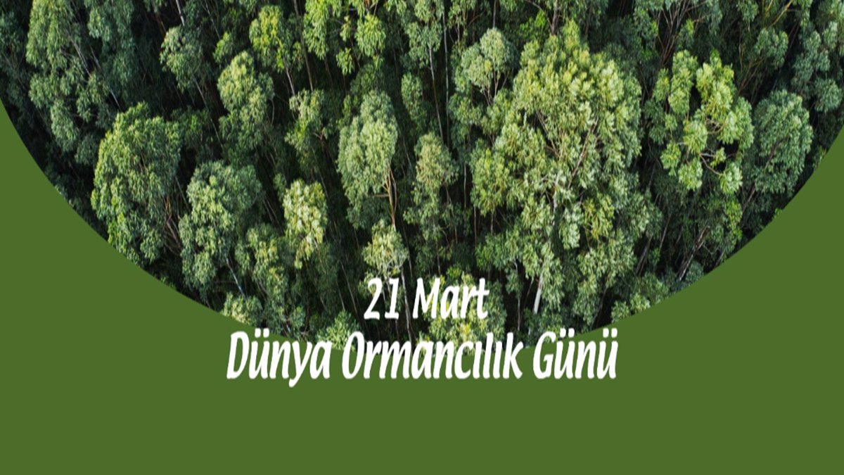 Çanakkale Belediye Başkanı Sayın Ülgür Gökhan'ın 21 Mart Dünya Ormancılık Günü mesajı