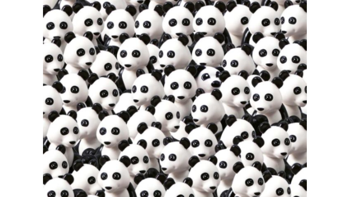 Pandaların arasında gizli bir köpek var! Sadece 7 saniyede bulanların IQ'su en az 120 çıkıyor!