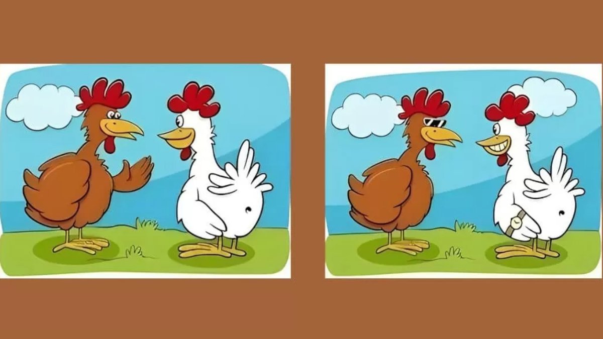 Süre 11 saniye! İki resim arasındaki 5 farkı sadece şahin gözlü insanlar bulabiliyor! Yapabilir misin?