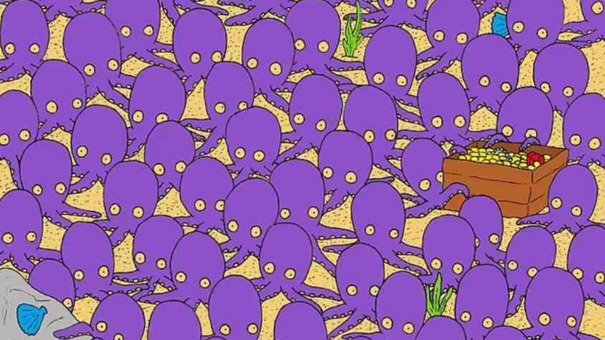 Ahtapotların arasındaki gizli balığı 13 saniyede bulmak için yüksek zekalı olmanız gerekiyor! Zekanı test et