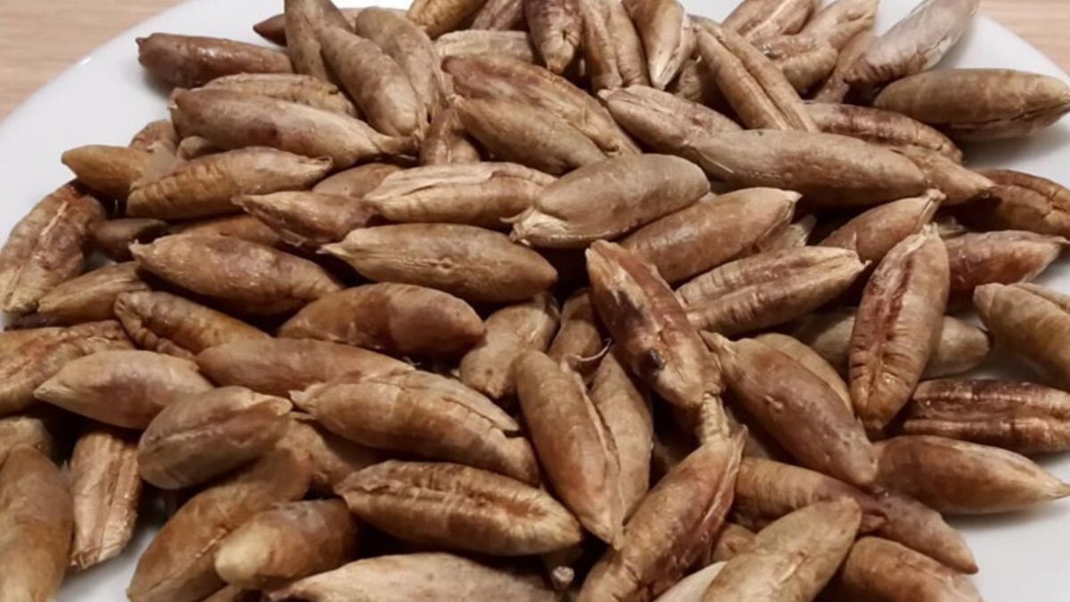 Hurmanın çekirdeğini çöpe atmak yerine bunu yapın! Öyle bir şeye iyi geliyor ki bir daha çöpe atmayacaksınız