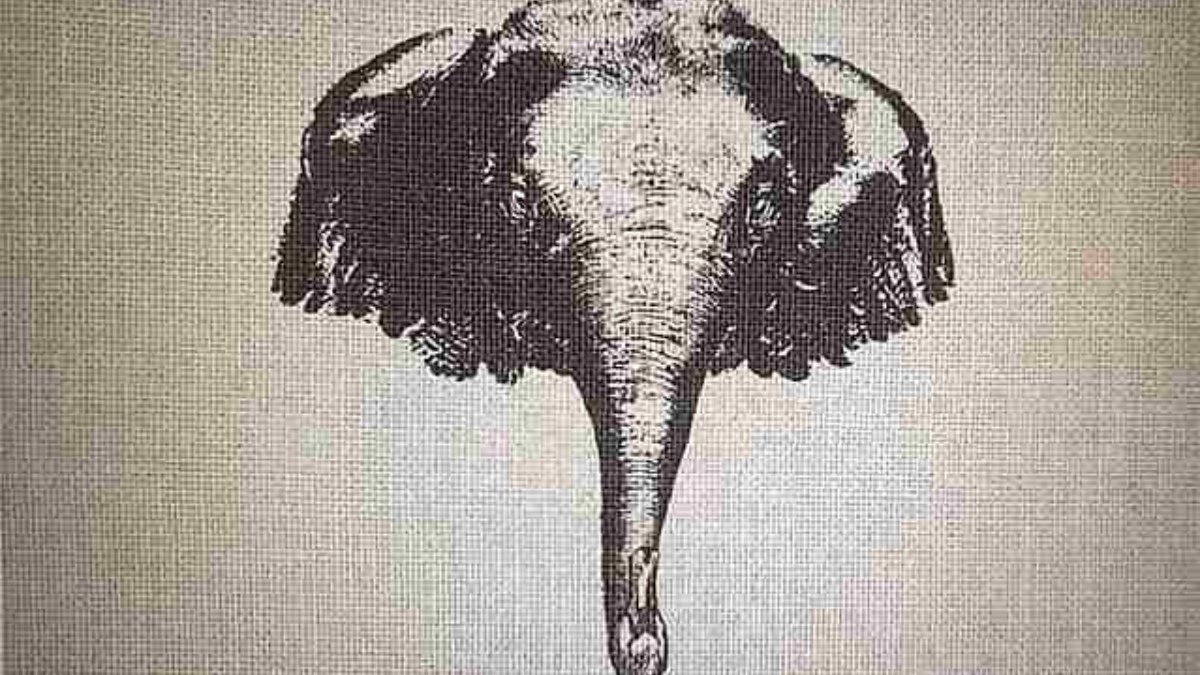 Bu eski optik illüzyon resminde filin içindeki gizli hayvanı kimse bulamıyor! 10 saniyede bulabilir misin?