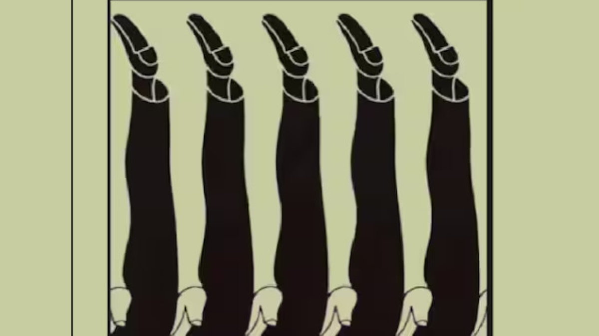 Kişiliğinizin gizli özelliklerini ortaya çıkaracak optik illüzyon! Resimde ilk ne görüyorsun?