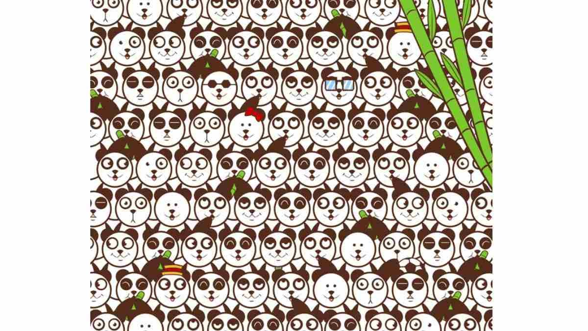 Pandaların arasındaki gizli futbol topunu bulanların IQ puanı en az 130 çıkıyor! 8 saniyede bulabilir misin?