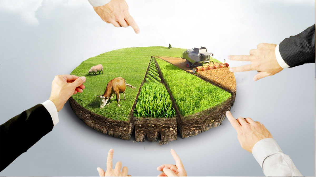 Kenarda köşede 17.000 TL parası bulunana Milli Emlak'tan arazi! O tarihe kadar başvuru alınacak: En ucuza arazi alma fırsatı!