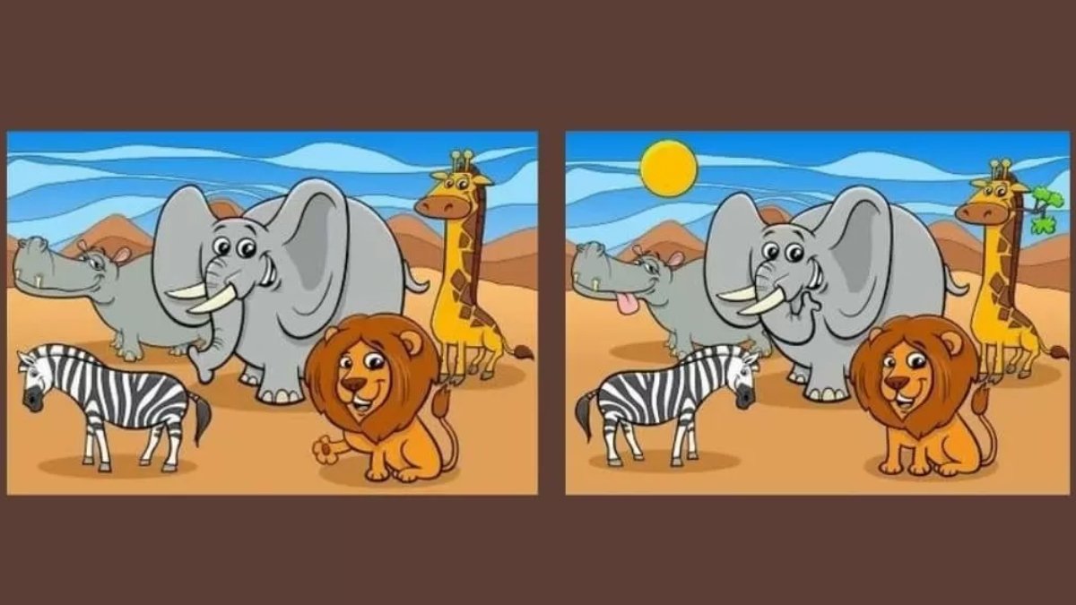 Resimler arasında  6 fark var! 15 saniyede bulmak için yüksek zekalı olmanız gerekiyor! Yapabilir misin?