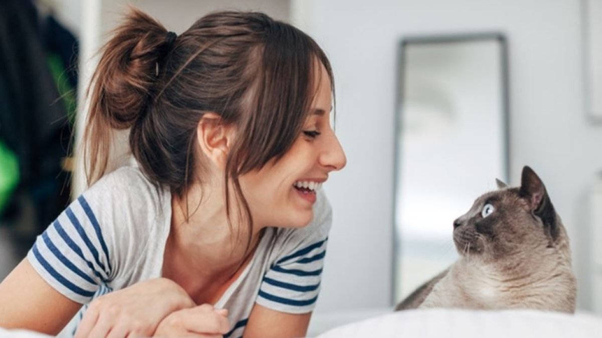 Dün gece kedimle derin bir sohbete daldık...