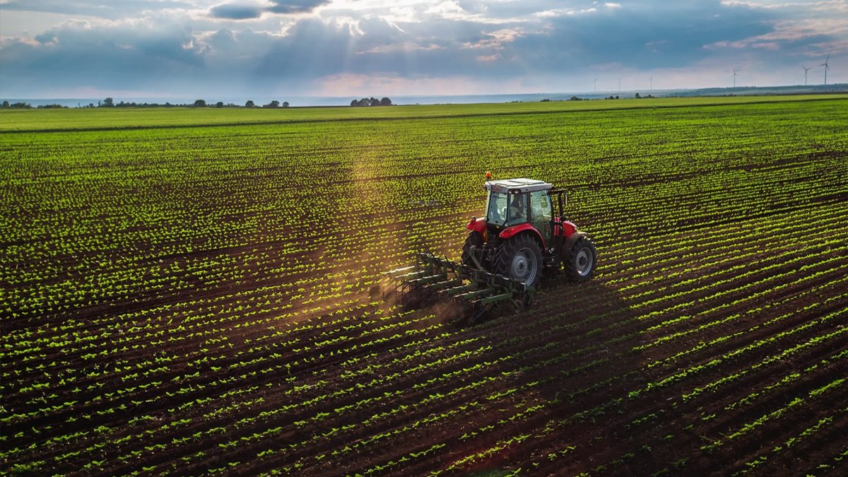 İşlenmeyen tarım arazileri üretime dönüyor