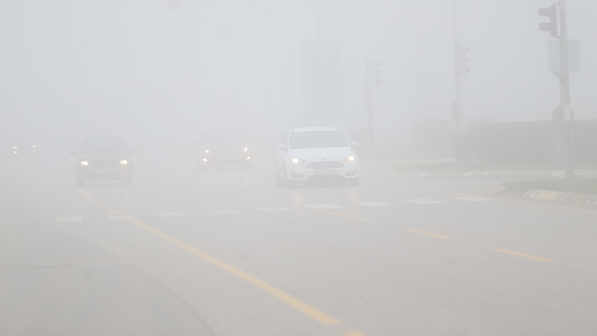 Sakarya'da yoğun sis
