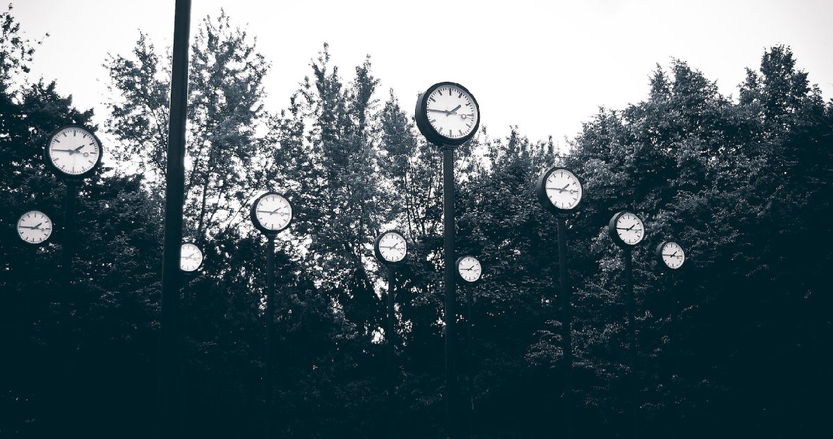 İşte bilim insanlarını büyüleyen canlılar: ‘Ölümsüzlüğün sırrı’ onlarda