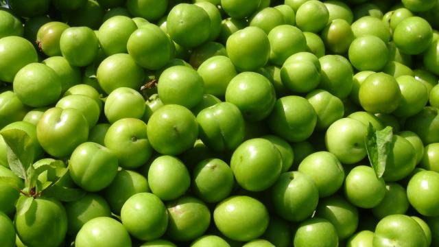 Erik tezgaha çıktı, fiyatı dudak uçuklattı