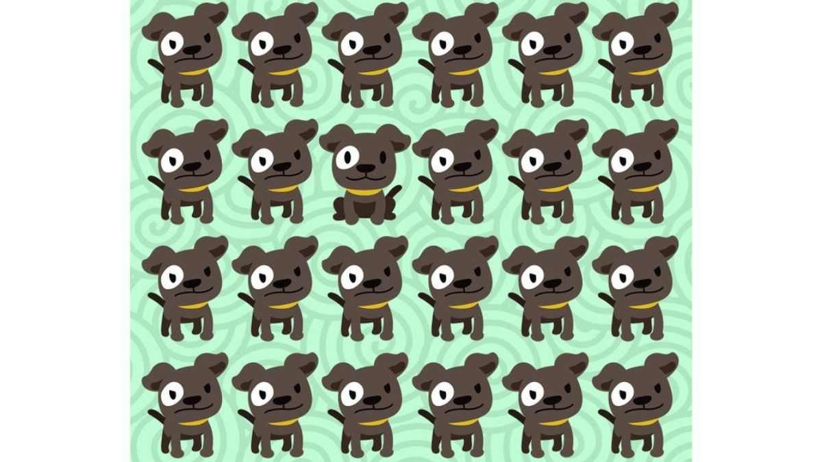 Sadece yüksek zekalı olanlar resimdeki farklı köpeği bulabiliyor! 6 saniyede bulanların IQ'su 120 çıkıyor!