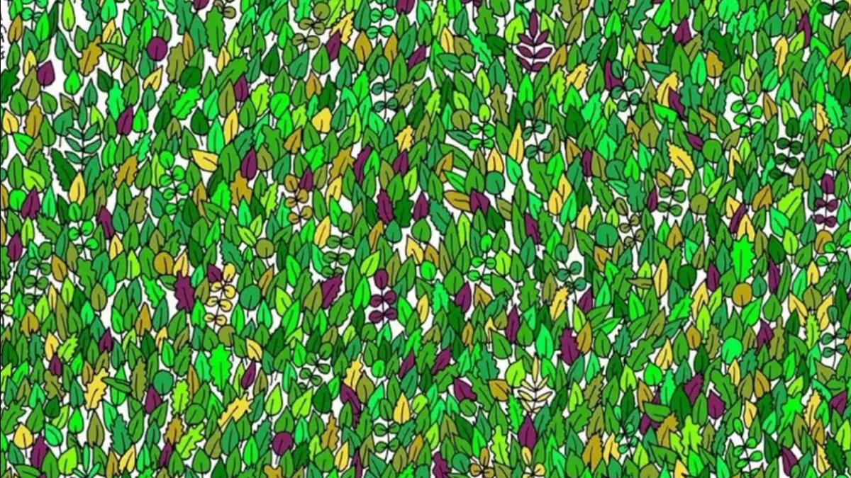 Yaprakların arasındaki gizli kurbağayı bulabilirsen senden zekisi yok! Sadece 9 saniyen var!