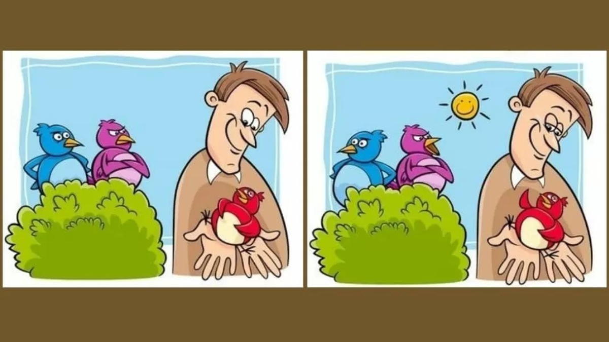 Sadece en zeki beyinler iki resim arasındaki 5 farkı bulabiliyor! 10 saniyede bulanların IQ puanı 130 çıkıyor!