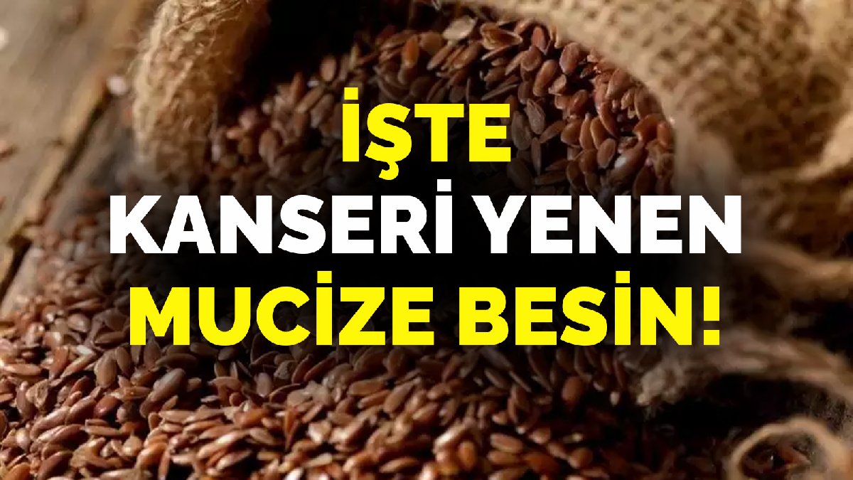 Tam bir omega-3 deposu! Balıktan binlerce kat daha yararlı: Öğrendikten sonra evinizden eksik etmeyeceksiniz