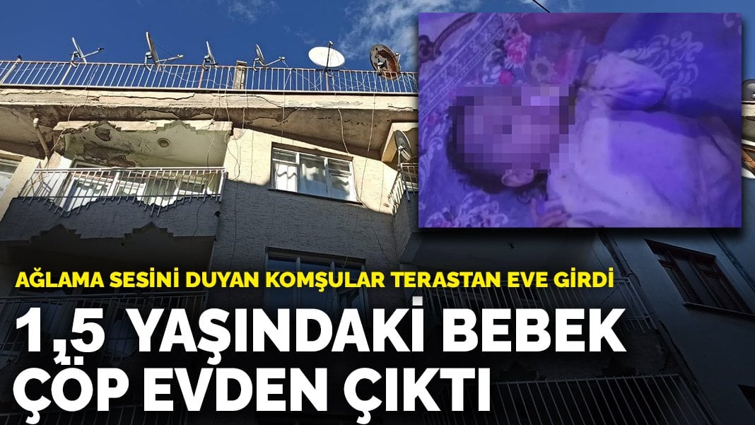 Konya Da Kan Donduran Olay A Lama Sesini Duyan Kom Ular Terastan Eve Girdi Ya Ndaki Bebek