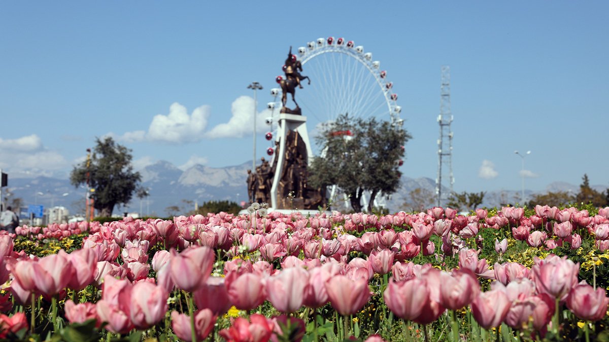 Antalya rengârenk lalelerle süslendi