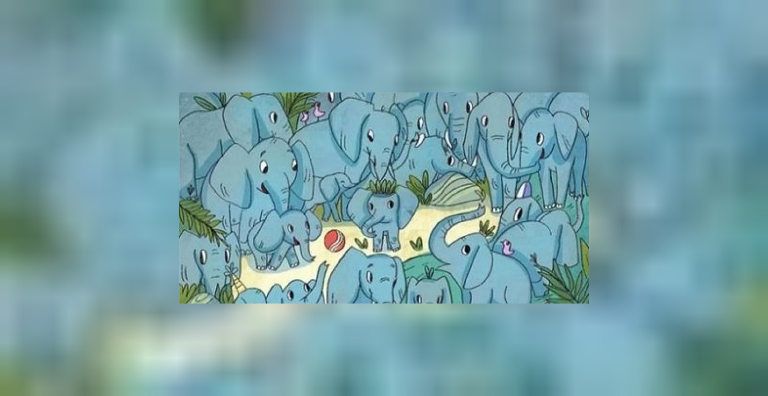 Resimde gizlenen yavru gergedanı sadece şahin gibi gözü olanlar buluyor! Rekorlar kıran test için 5 saniyeniz var