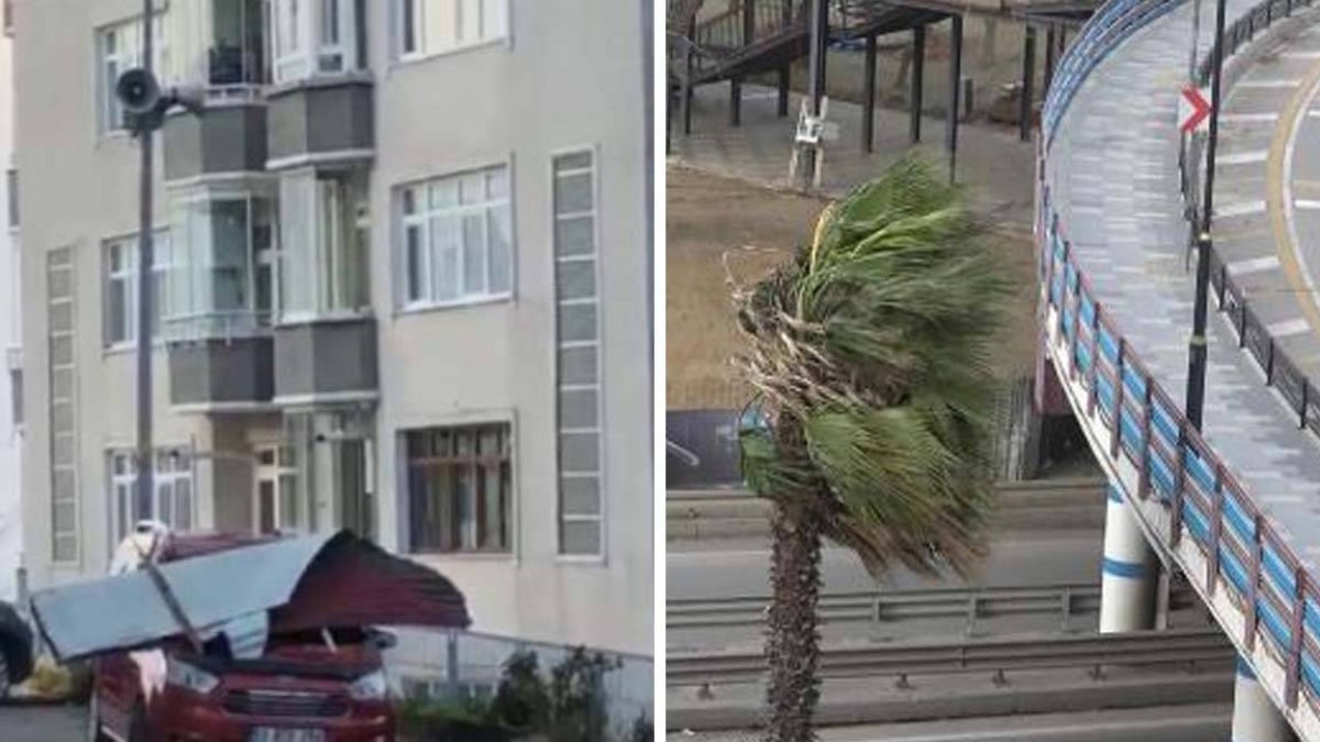 Doğu Karadeniz’de fırtına: Çatılar uçtu, ağaçlar devrildi