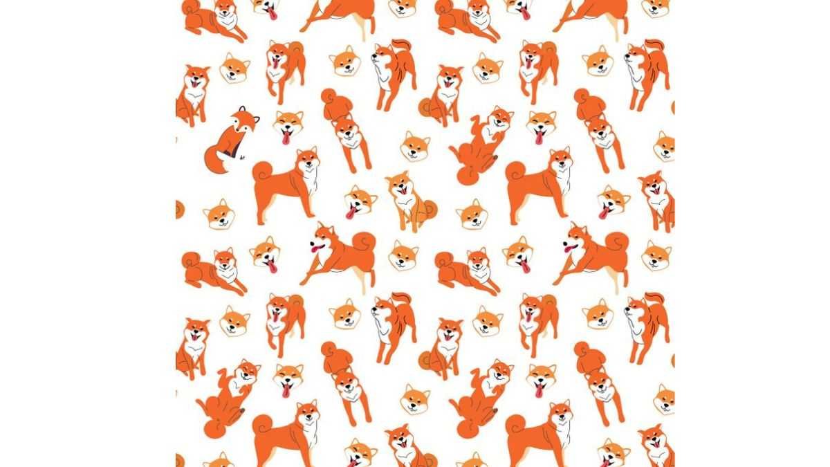 Köpeklerin arasındaki farklı hayvanı bulabilir misin? 9 saniyede bulabilirsen IQ seviyen 120 çıkıyor!