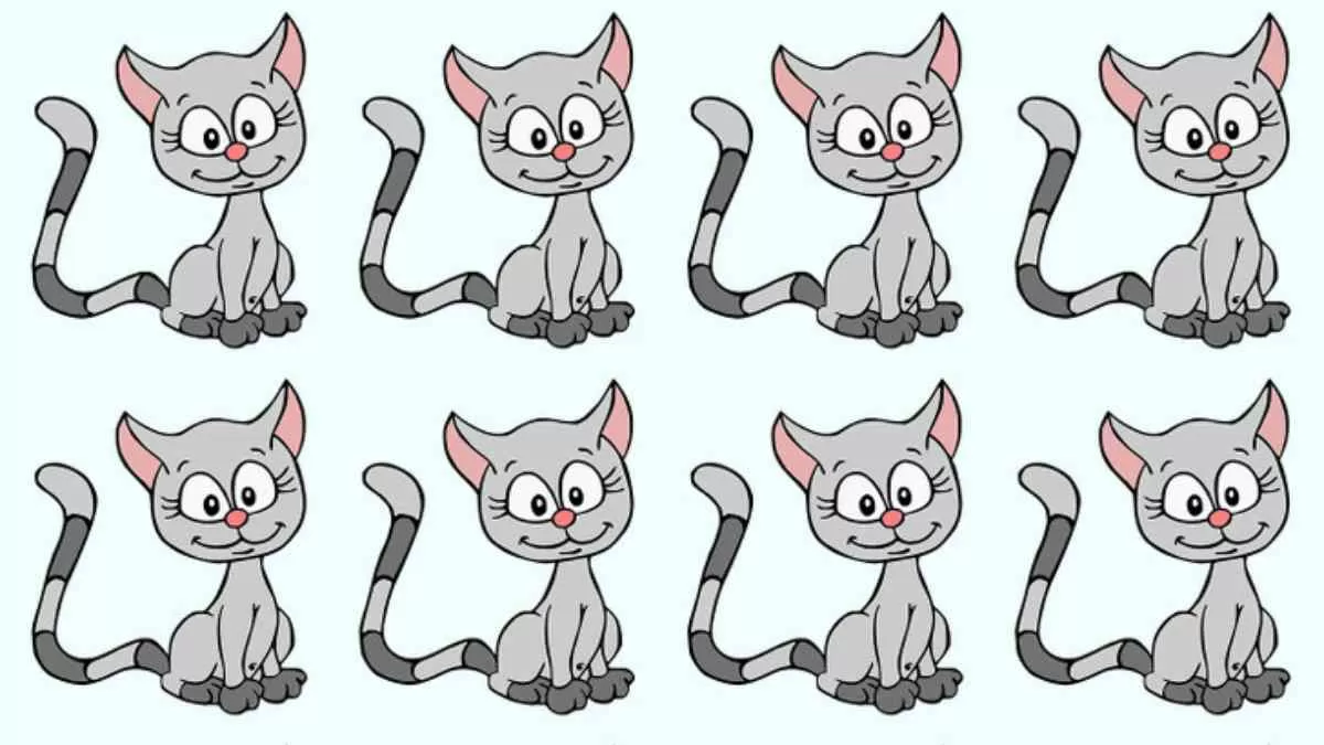 Zeka testi: En yüksek beyin gücüne sahip kişiler resimdeki garip kediyi 6 saniyede anlayabilir. Yapabilir misin?