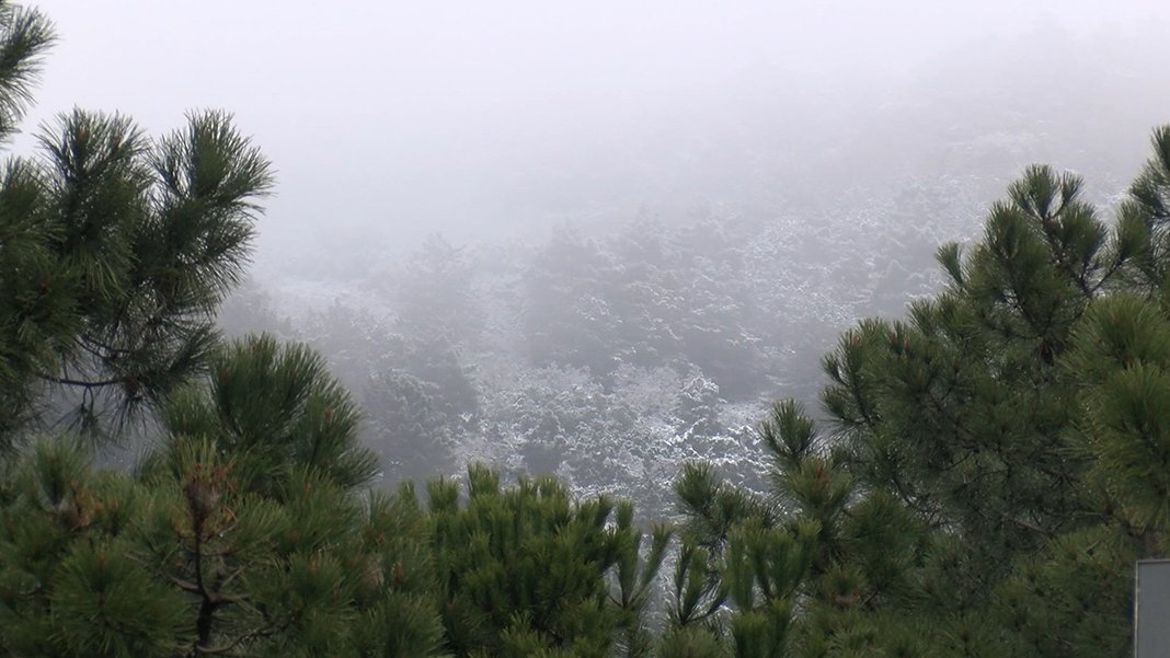 İstanbul'da kar yağışı başladı