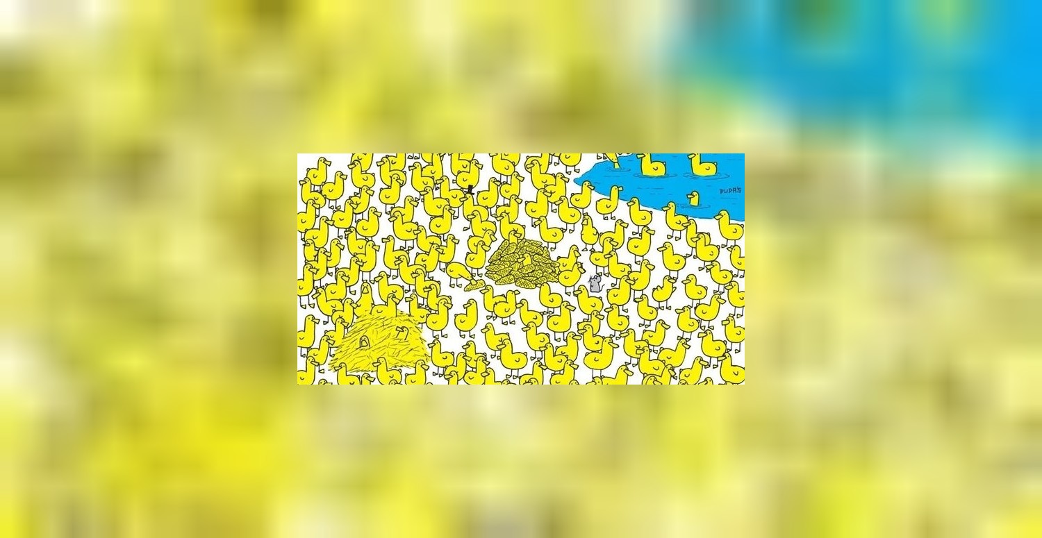 Bu resme bakarken kafanızdan ateş çıkacak! Ördeklerin arasındaki civcivi bulmak için 7 saniyeniz var! Bulana büyük sürpriz