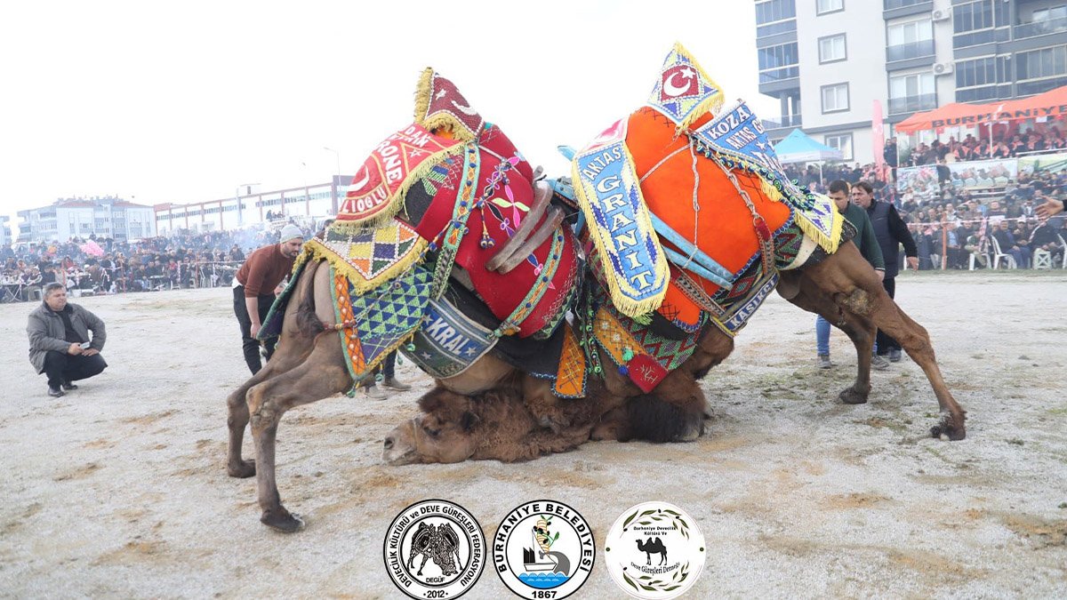 Güreşseverler kararını verdi: "Sezonun en iyi güreşi Burhaniye'de yapıldı"