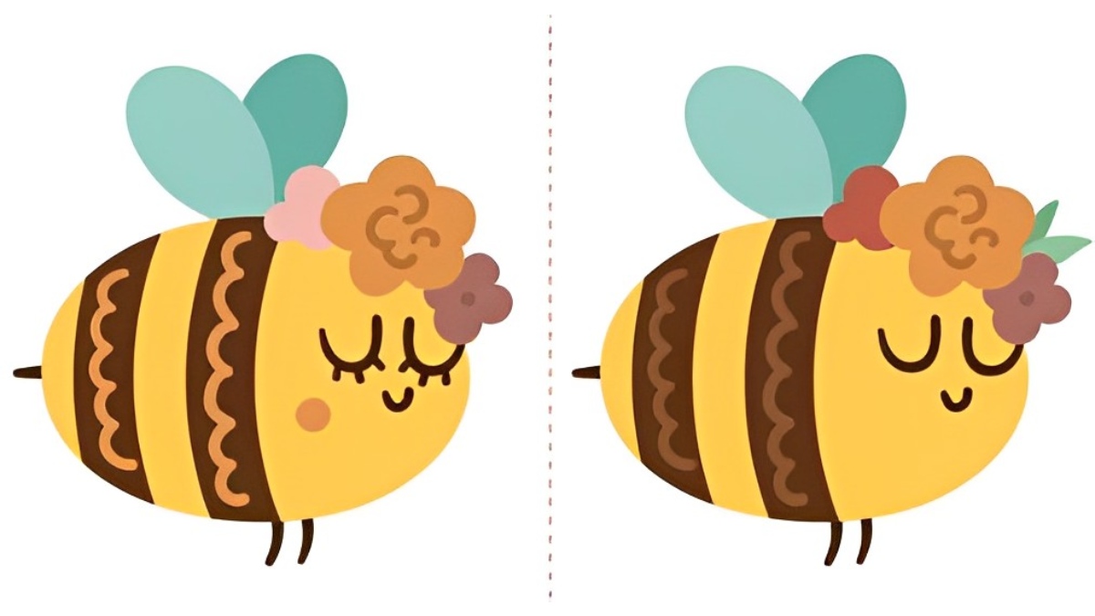 Resimler arasında 5 fark var! Yalnızca keskin gözlü olanlar 5 saniyede bulabiliyor! Zekanı test et