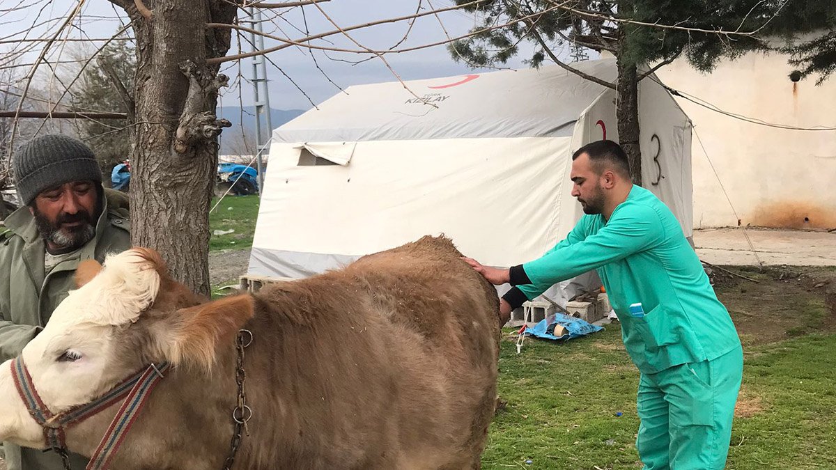 Antalya Büyükşehir Belediyesi’nden Gaziantep’te veterinerlik hizmeti