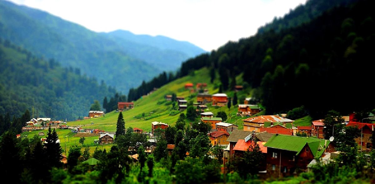 Ayder Yaylası: Doğal Güzellikleriyle Karadeniz'in İncisi