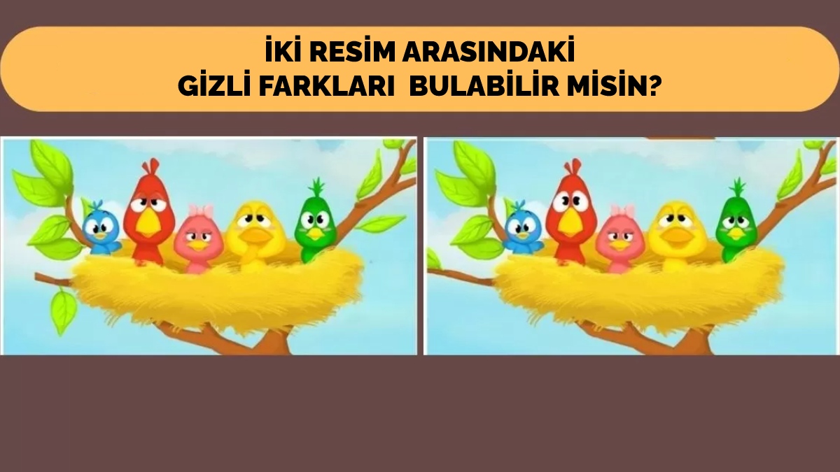 İki resim arasında 6 fark var! Yalnızca keskin gözlü insanlar 10 saniyede gizli farkları bulabiliyor!