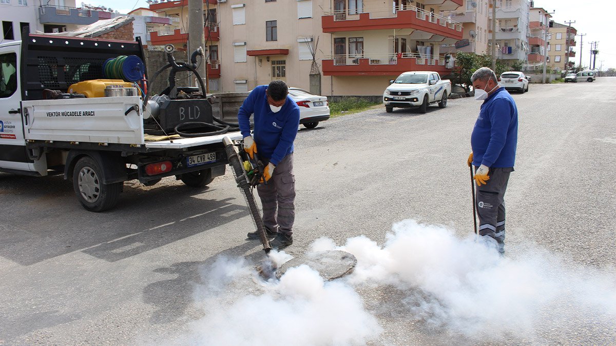 Sineksiz yaz için yoğun mücadele