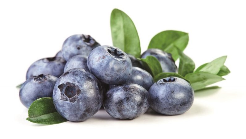 Yaban Mersini Faydaları: Sağlığımız İçin Neden Tüketmeliyiz?