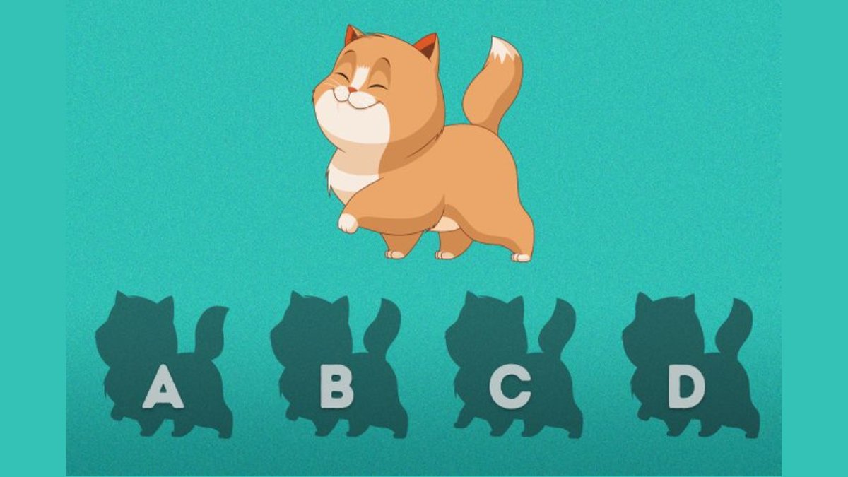 Sadece en keskin zekalı olanlar resimdeki kedinin doğru gölgesini bulabiliyor! 5 saniyede bulabilir misin?