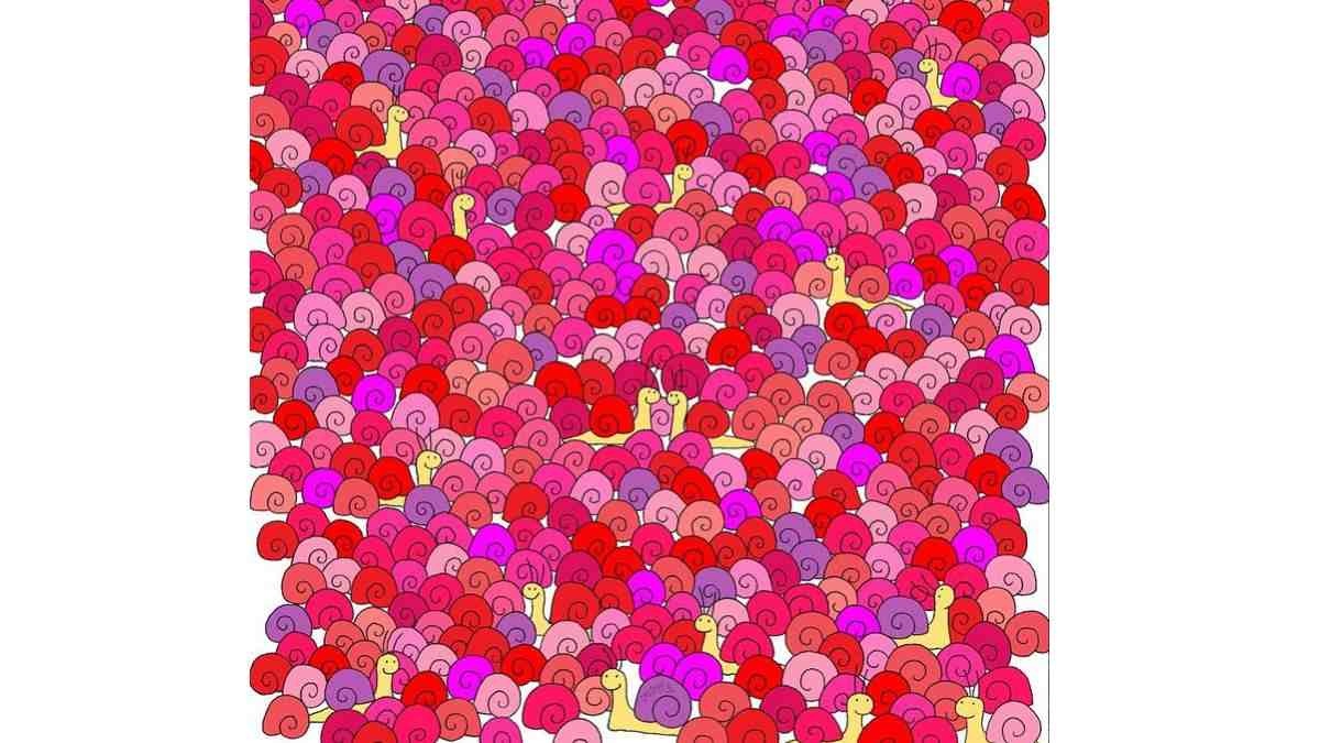 Salyangozların arasında gizli bir kalp var! Yalnızca IQ seviyesi 130'un üstünde olanlar 13 saniyede bulabilir!