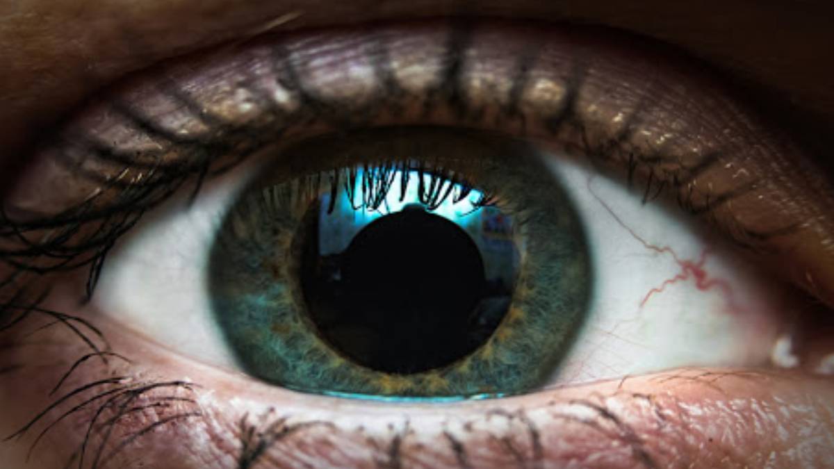 Renk körlüğünüz var mı hemen öğrenin! Yüzde 99 doğru sonuç çıkıyor: Siz hangi rengi görüyorsunuz?