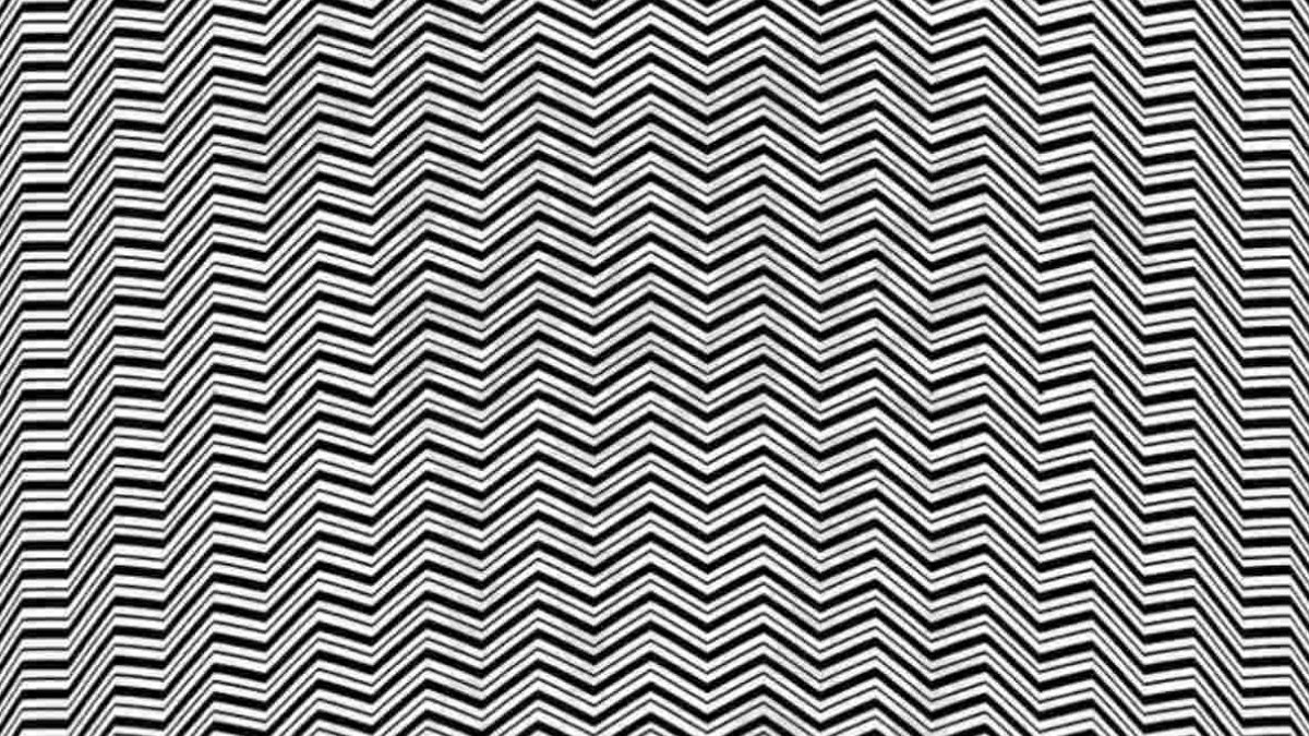 Siyah beyaz çizgilerin arasındaki gizli hayvanı kimse bulamıyor! Sadece IQ'su 130'un üstünde olanlar 15 saniyede bulabiliyor!