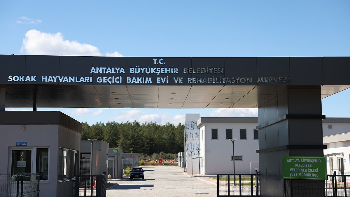 'Antalya Büyükşehir Belediyesi Sokak Hayvanları Bakımevi' hizmette