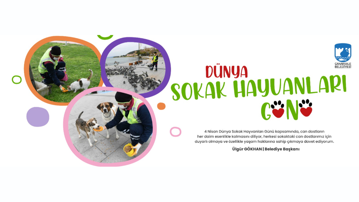 Başkan Ülgür Gökhan'ın '4 Nisan Dünya Sokak Hayvanları Günü' mesajı