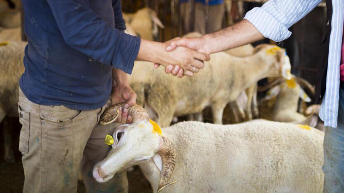Kurbanda vekalet nasıl verilir?
