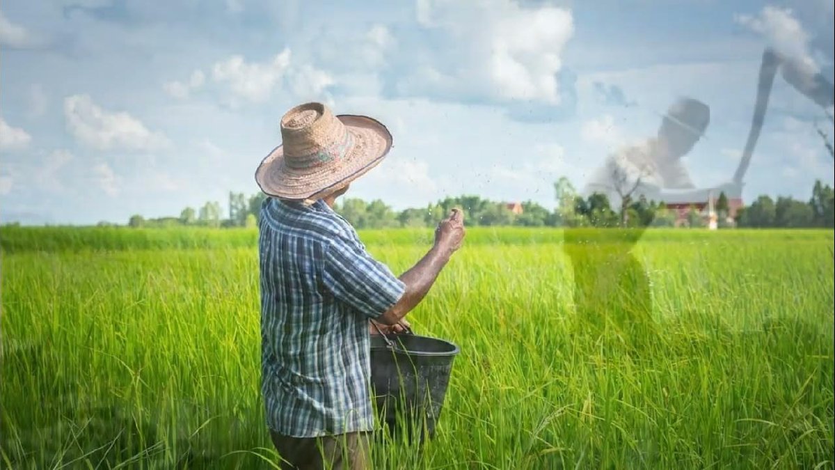 Çiftçiler isyan bayrağını çekti! Gübre fiyatları rekor üstüne rekor kırıyor... Üre, DAP, Can, Amonyum Sülfat güncel fiyatları!