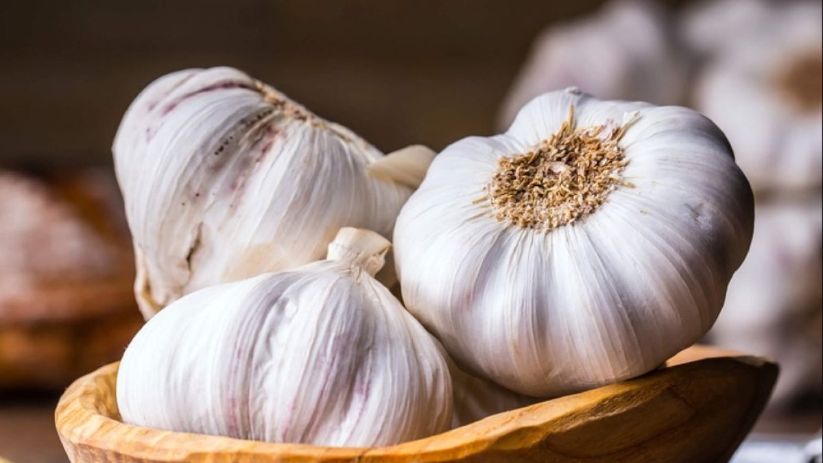 Sarımsağın Faydaları: Sağlık İçin En Etkili Doğal İlaçlardan Biri