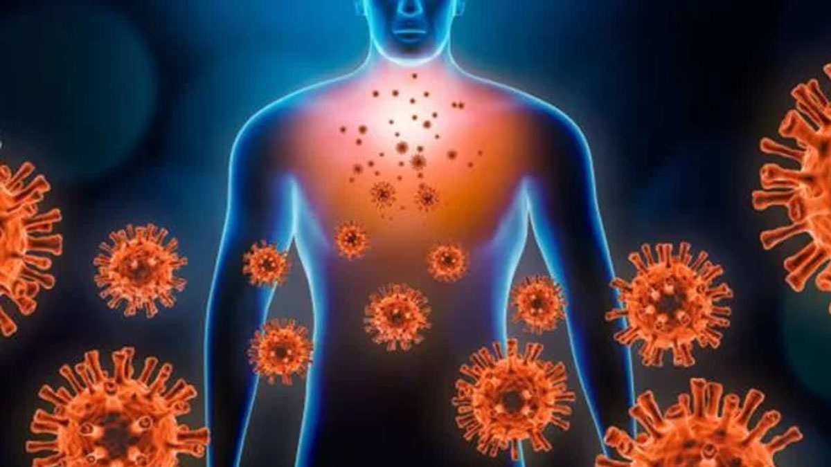 Vücuttaki iltihap nasıl atılır?